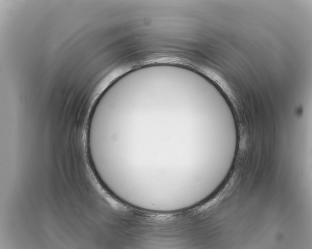 X0000091301282200708101040