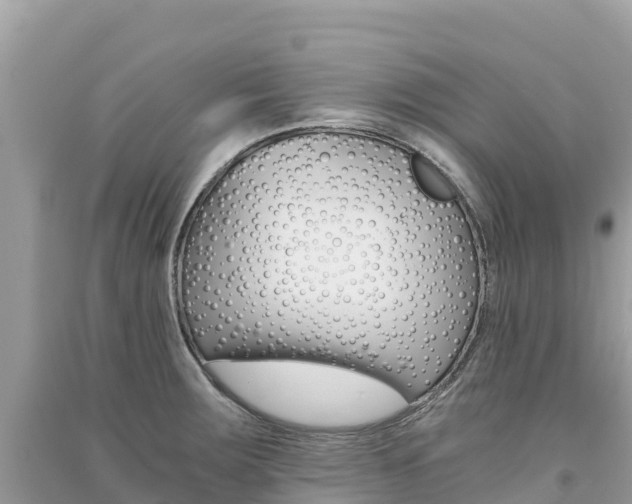 X0000091301283200708101040