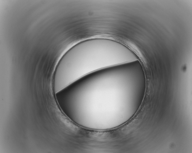 X0000091301284200708101040