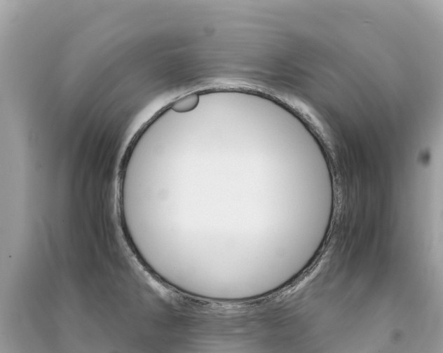 X0000091301286200708101040
