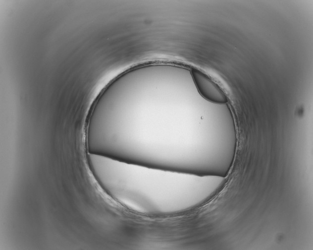 X0000091301287200708101040