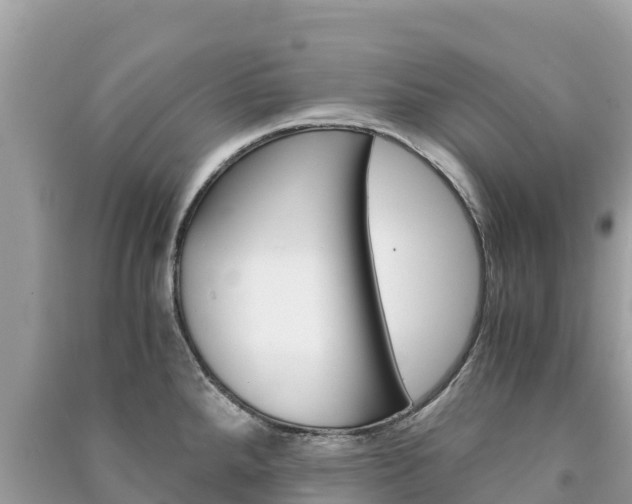 X0000091301288200708101040