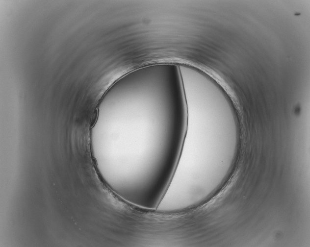 X0000091301289200708101040