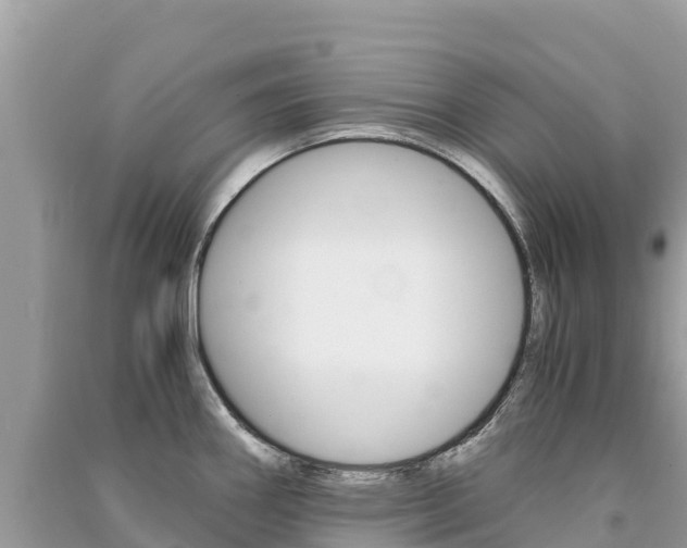 X0000091301290200708101040