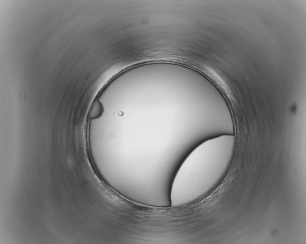 X0000091301291200708101040