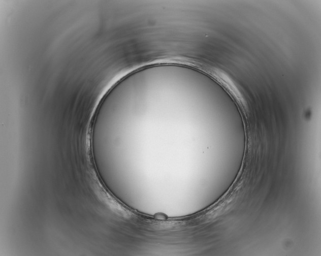 X0000091301292200708101040