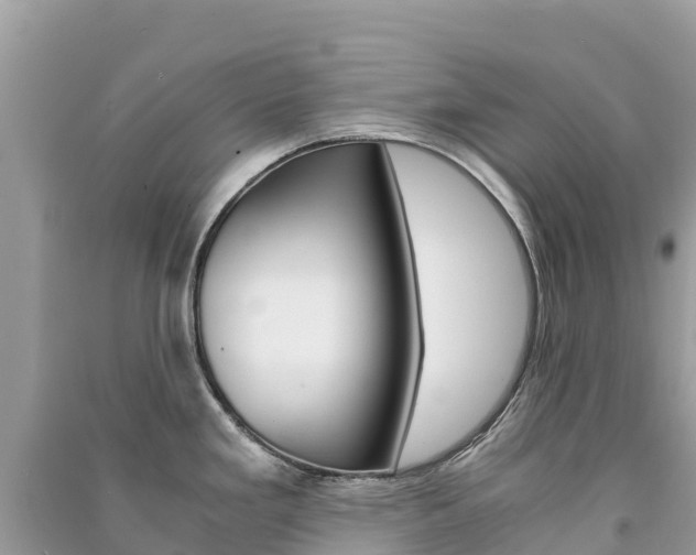 X0000091301293200708101040