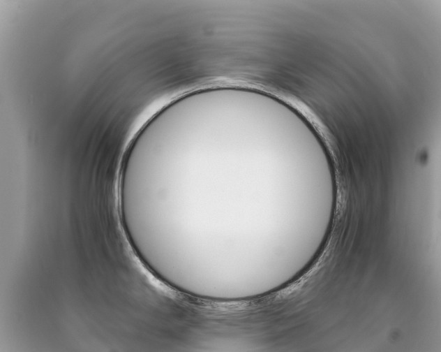 X0000091301294200708101039
