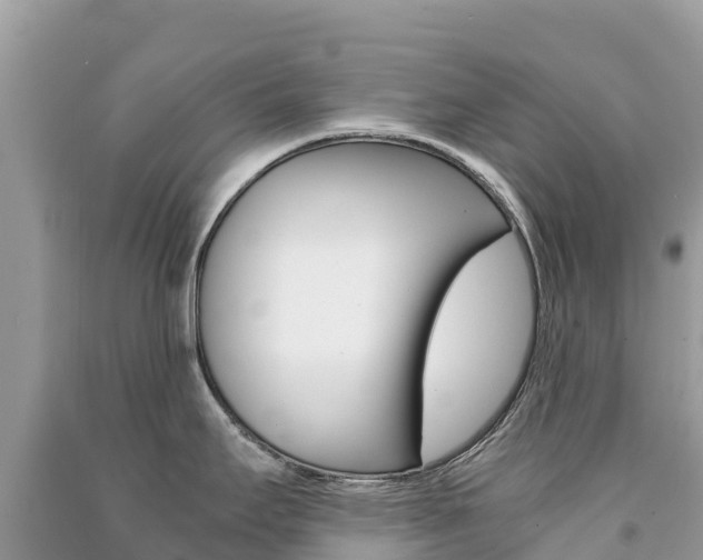 X0000091301295200708101039