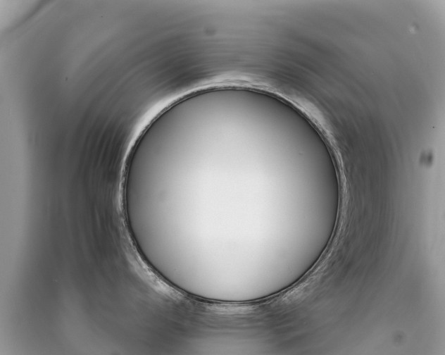X0000091301296200708101039
