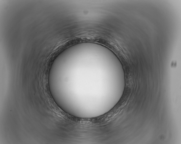 X0000091301297200708101039