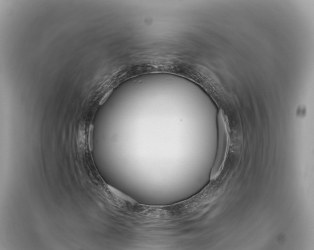 X0000091301298200708101039