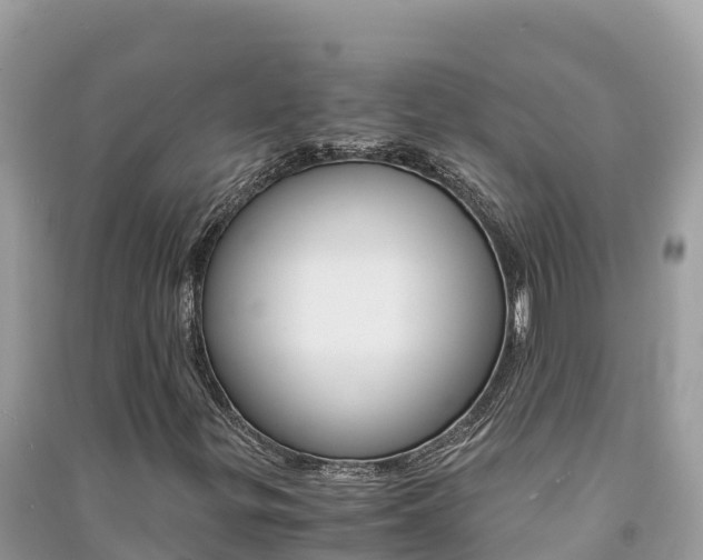 X0000091301299200708101039