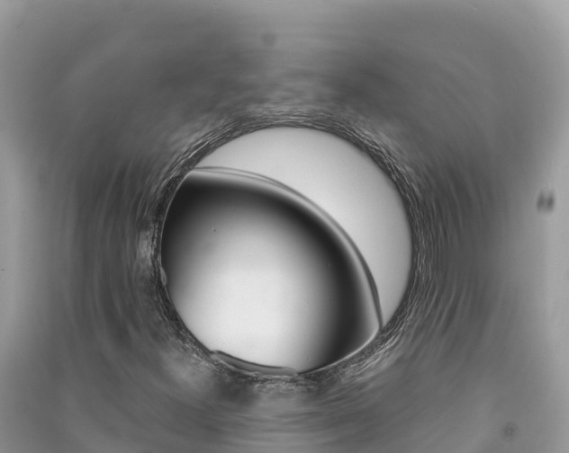 X0000091301300200708101039