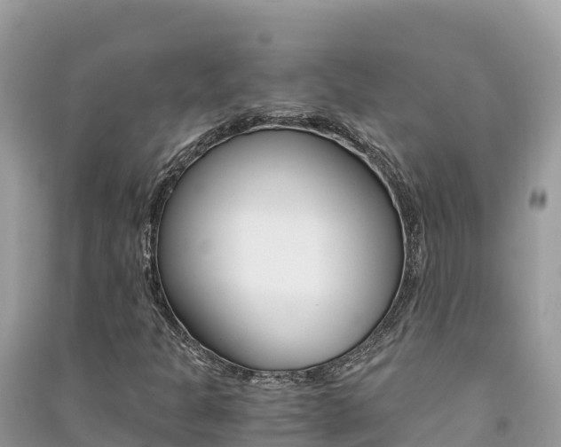 X0000091301301200708101039