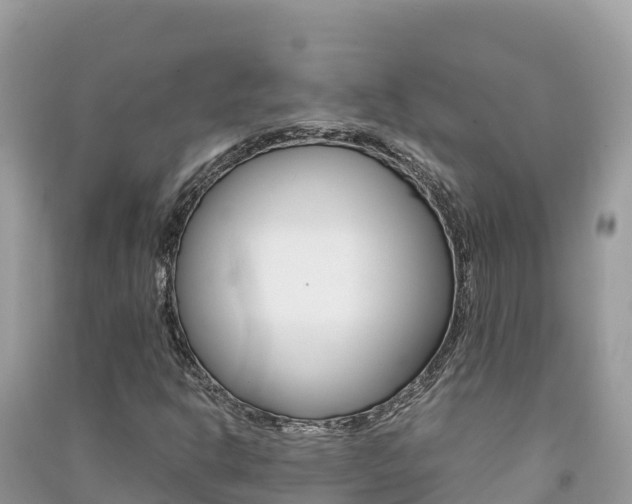 X0000091301302200708101039