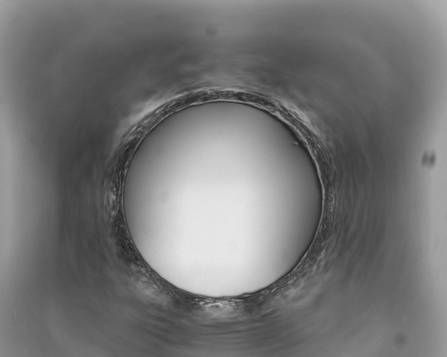 X0000091301303200708101039
