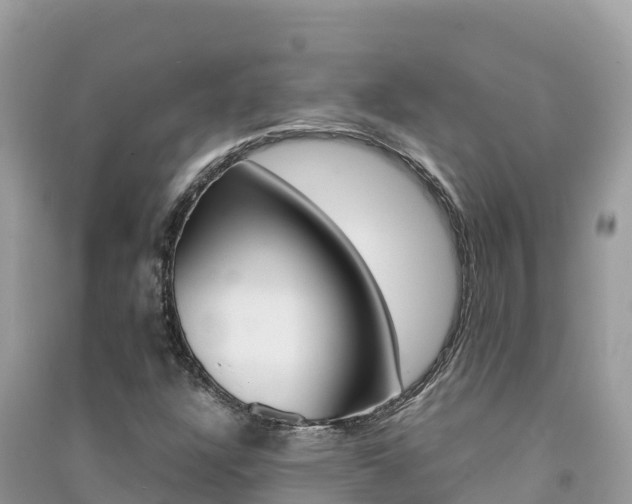 X0000091301304200708101039