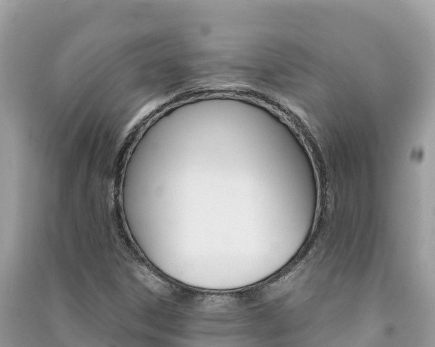 X0000091301306200708101039