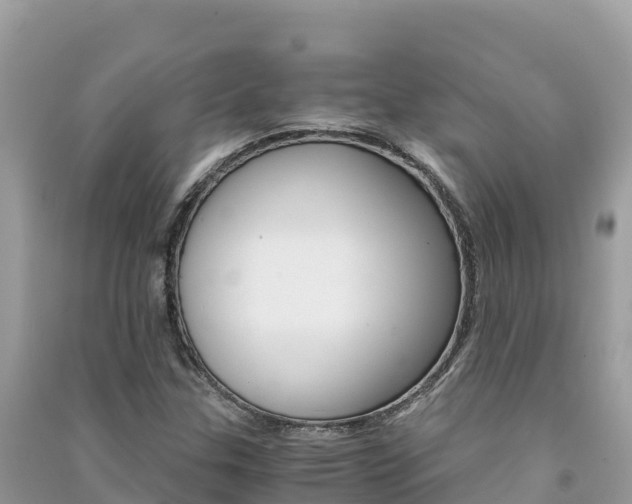 X0000091301307200708101039