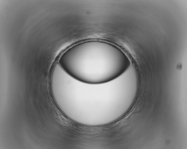 X0000091301308200708101039