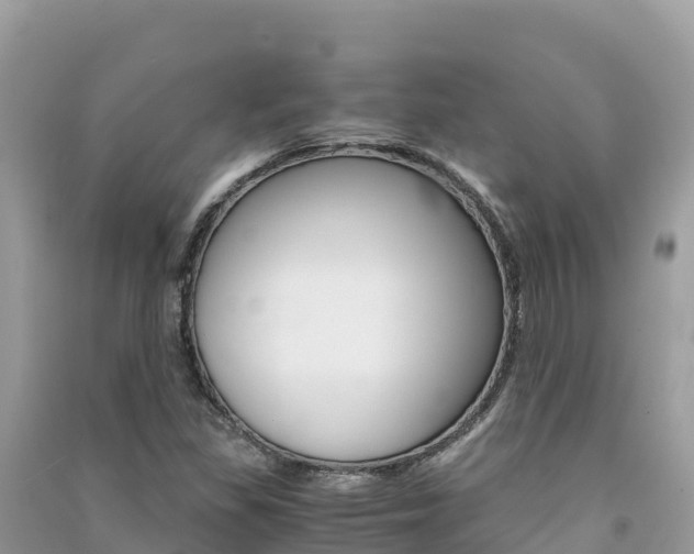 X0000091301309200708101039