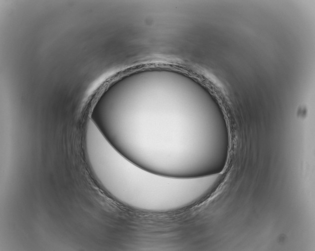 X0000091301310200708101039