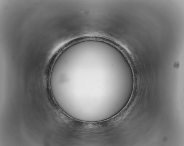 X0000091301311200708101039
