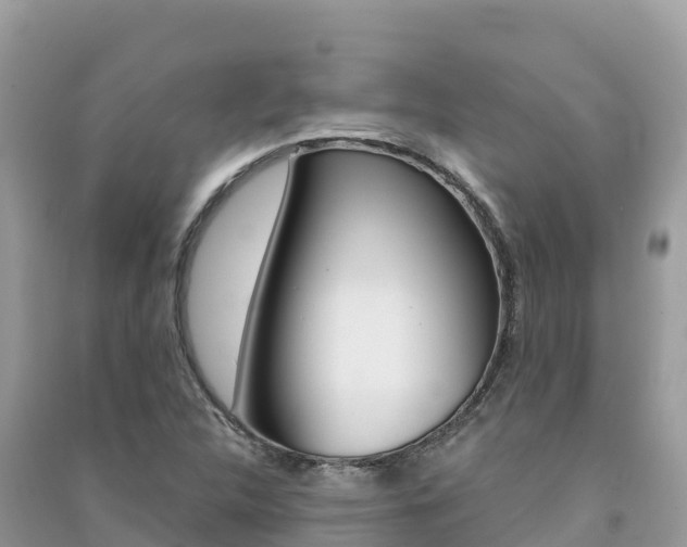 X0000091301312200708101039