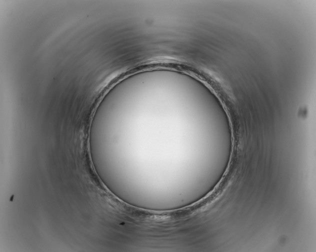 X0000091301313200708101039
