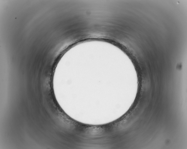 X0000091301314200708101039