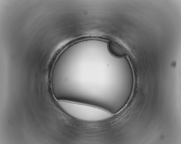 X0000091301315200708101039