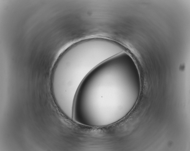 X0000091301316200708101039