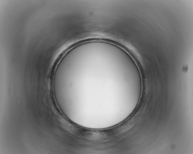X0000091301318200708101039