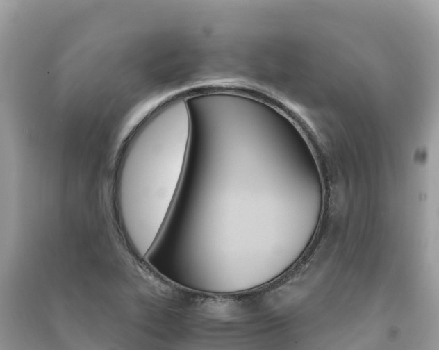X0000091301319200708101039