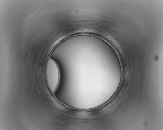 X0000091301321200708101039