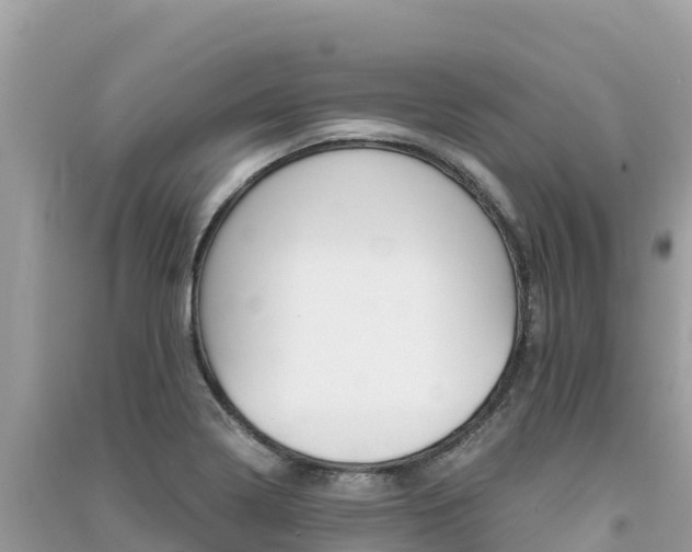 X0000091301322200708101039