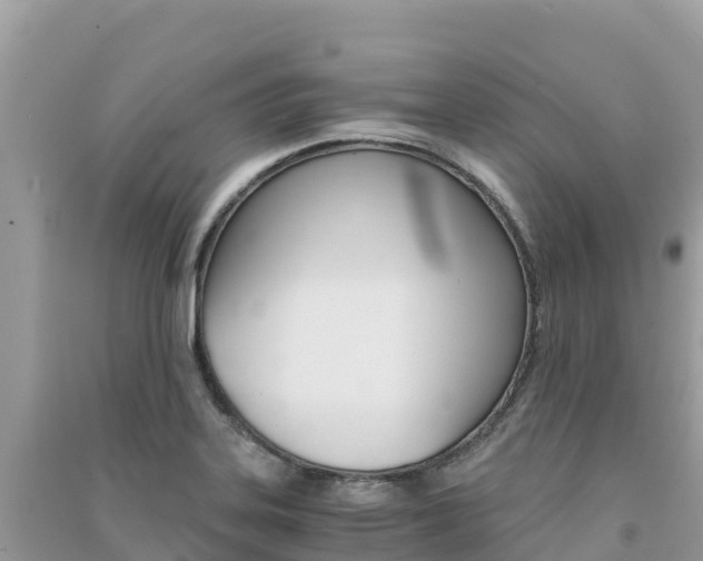 X0000091301323200708101039