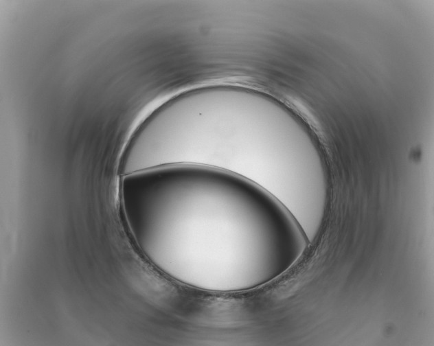 X0000091301324200708101039