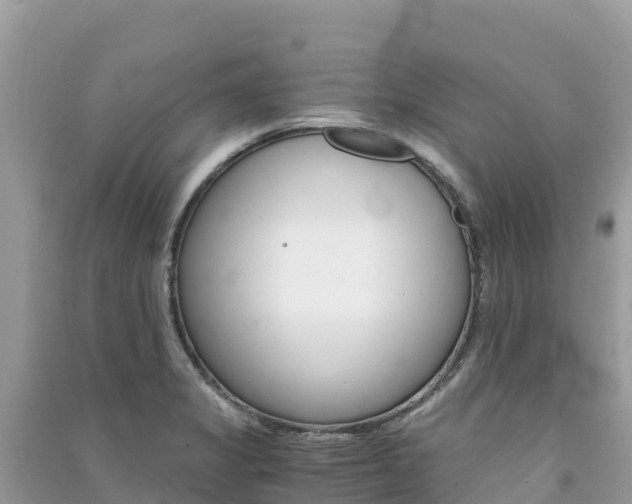 X0000091301325200708101039