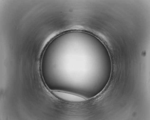 X0000091301326200708101039