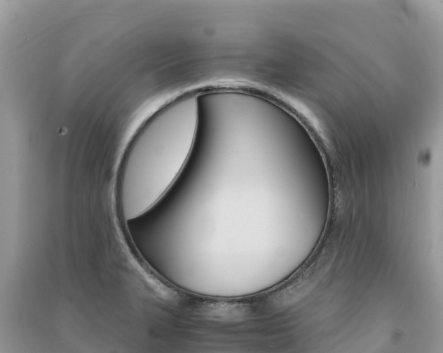 X0000091301327200708101039