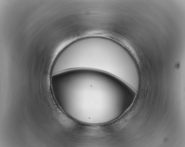 X0000091301328200708101039