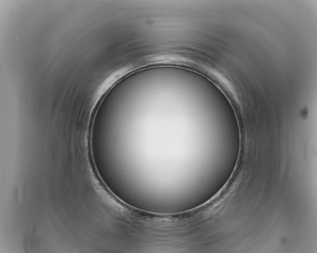 X0000091301330200708101039