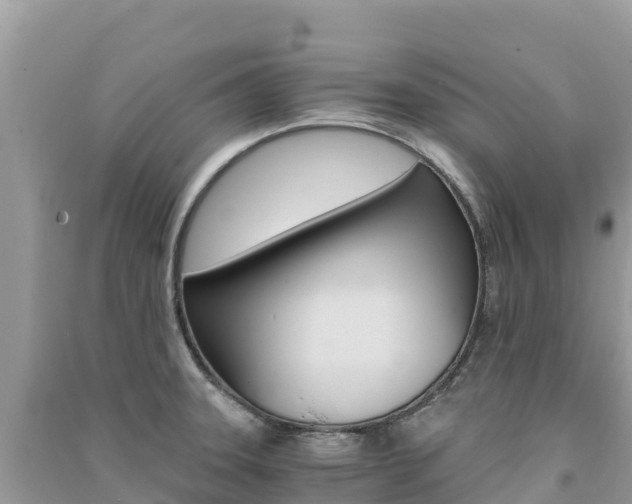X0000091301331200708101039