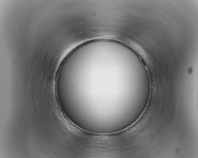 X0000091301332200708101039