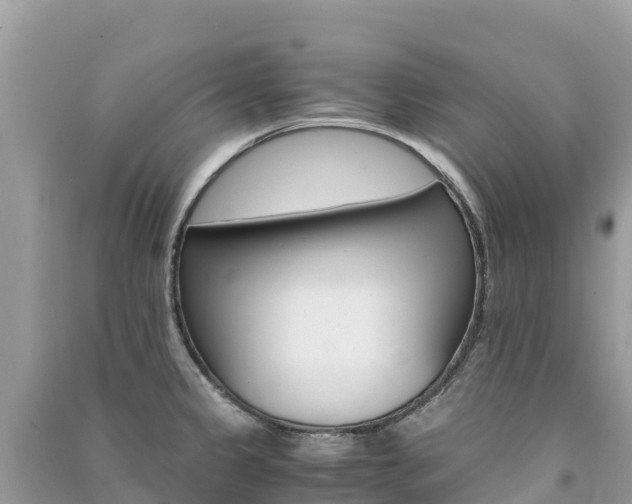 X0000091301333200708101039