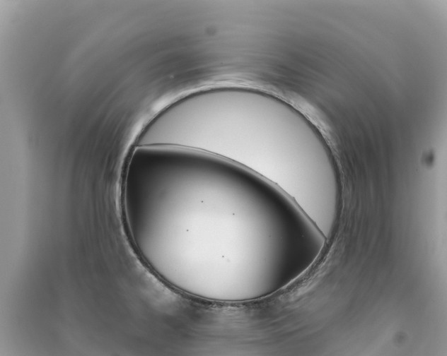 X0000091301334200708101039