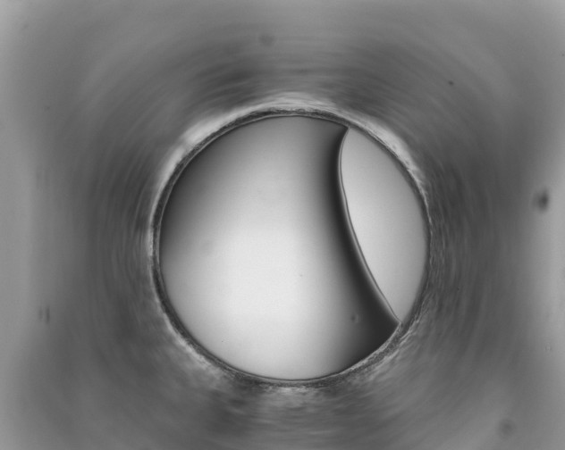 X0000091301335200708101039