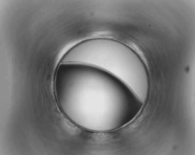 X0000091301336200708101039